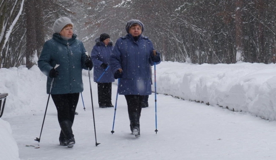 Скандинавская ходьба для пожилых